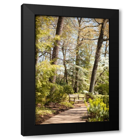 Park Bench Black Modern Wood Framed Art Print by Millet, Karyn