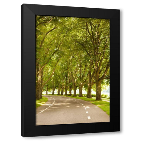 Road Through the Grove Black Modern Wood Framed Art Print by Millet, Karyn