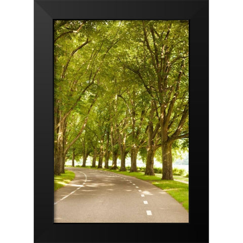 Road Through the Grove Black Modern Wood Framed Art Print by Millet, Karyn