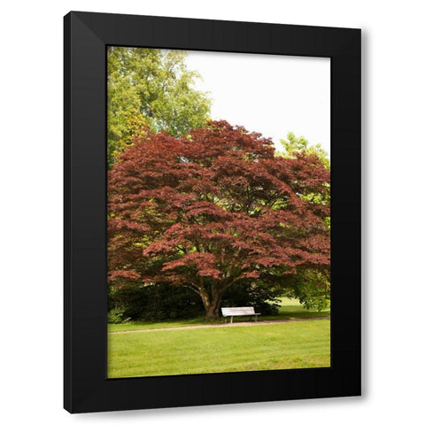 Fall in the Park Black Modern Wood Framed Art Print by Millet, Karyn
