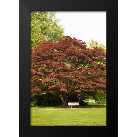 Fall in the Park Black Modern Wood Framed Art Print by Millet, Karyn