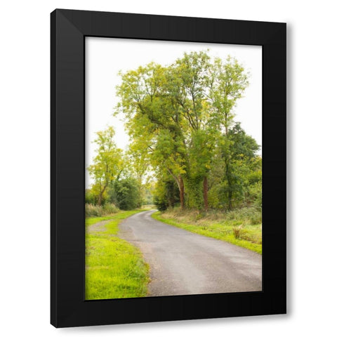 Country Road IV Black Modern Wood Framed Art Print by Millet, Karyn