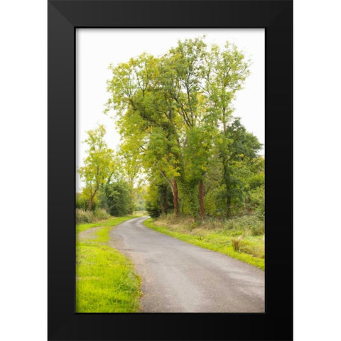 Country Road IV Black Modern Wood Framed Art Print by Millet, Karyn