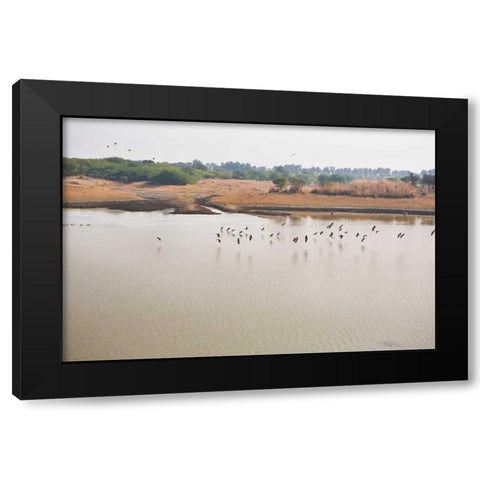 Birds II Black Modern Wood Framed Art Print with Double Matting by Millet, Karyn