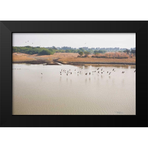 Birds II Black Modern Wood Framed Art Print by Millet, Karyn
