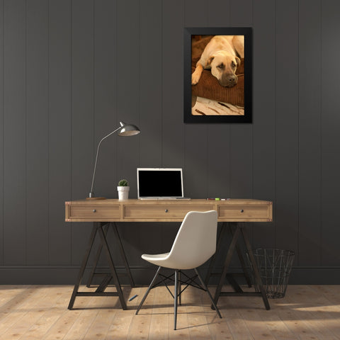 Resting Black Modern Wood Framed Art Print by Millet, Karyn