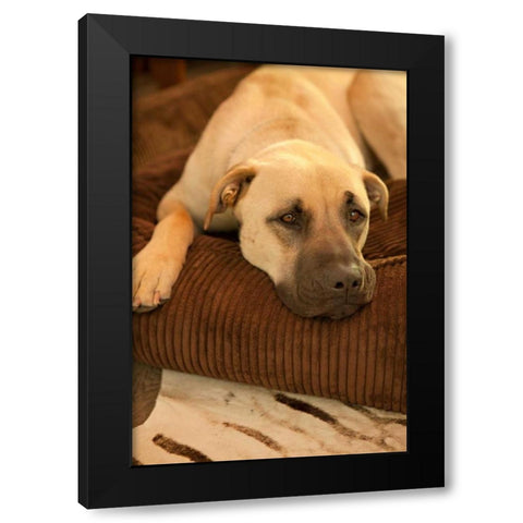 Resting Black Modern Wood Framed Art Print by Millet, Karyn