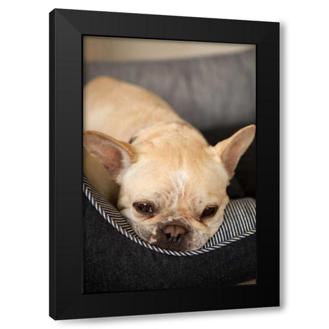 Resting II Black Modern Wood Framed Art Print by Millet, Karyn