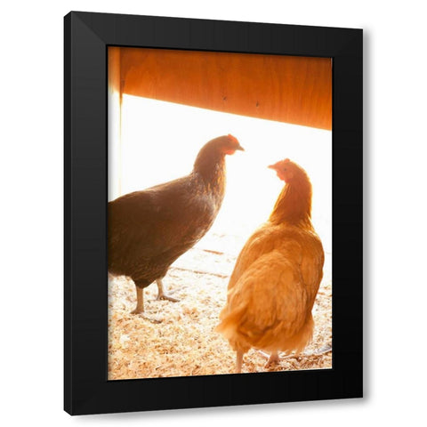 Hens Black Modern Wood Framed Art Print with Double Matting by Millet, Karyn