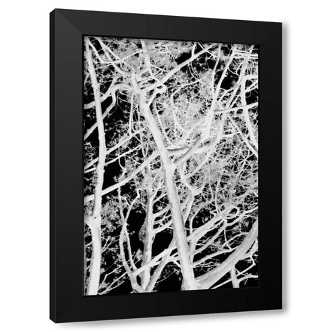 Tree Scatter Black Modern Wood Framed Art Print by Millet, Karyn