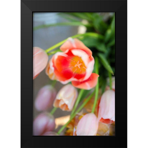Spring Bloom I Black Modern Wood Framed Art Print by Millet, Karyn