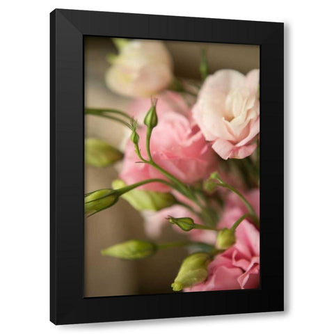 Pink Blossoms II Black Modern Wood Framed Art Print by Millet, Karyn