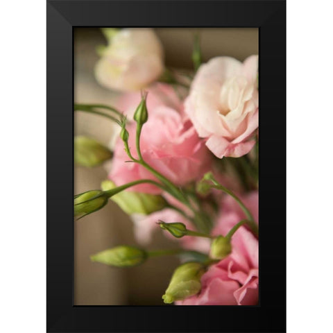 Pink Blossoms II Black Modern Wood Framed Art Print by Millet, Karyn