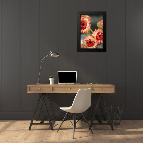 Red and White Daisies I Black Modern Wood Framed Art Print by Millet, Karyn