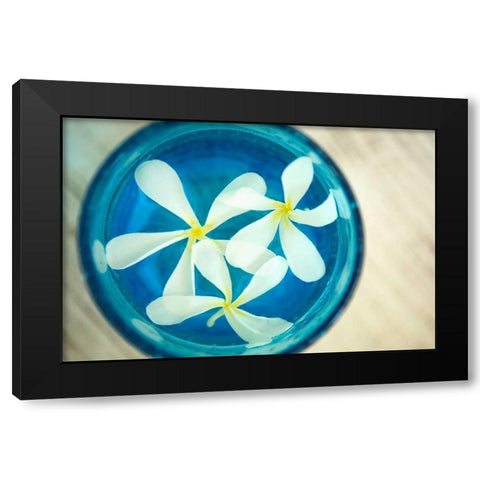Floating Flowers I Black Modern Wood Framed Art Print with Double Matting by Millet, Karyn