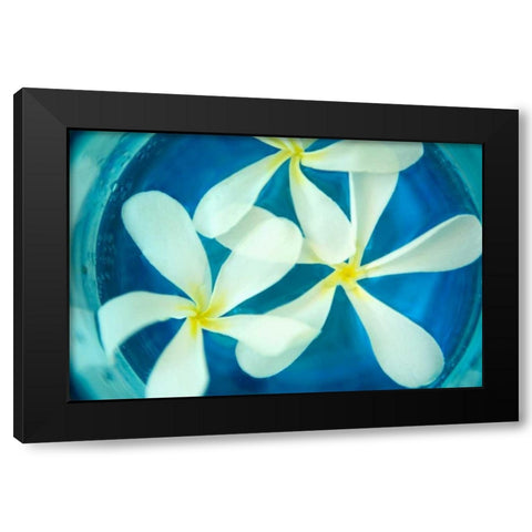 Floating Flowers II Black Modern Wood Framed Art Print with Double Matting by Millet, Karyn