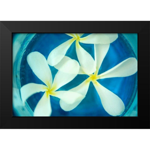 Floating Flowers II Black Modern Wood Framed Art Print by Millet, Karyn