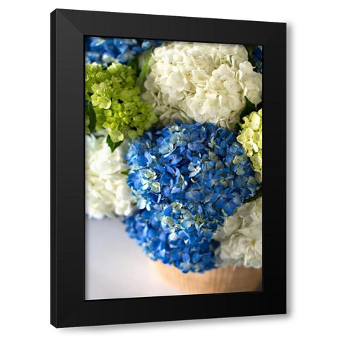 Hydrangea Bouquet Black Modern Wood Framed Art Print with Double Matting by Millet, Karyn