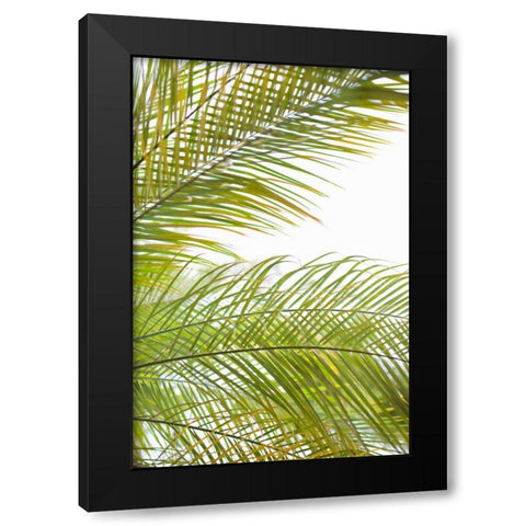 Palms in the Sun I Black Modern Wood Framed Art Print with Double Matting by Millet, Karyn