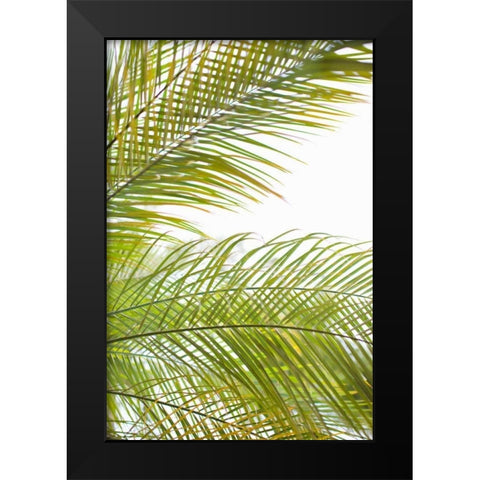 Palms in the Sun I Black Modern Wood Framed Art Print by Millet, Karyn