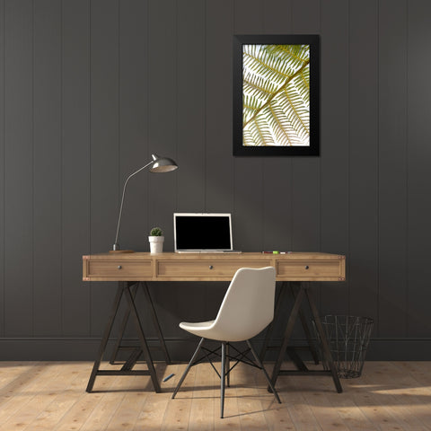 Fern Black Modern Wood Framed Art Print by Millet, Karyn