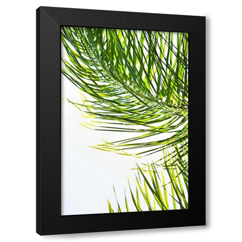 Palms in the Sun II Black Modern Wood Framed Art Print by Millet, Karyn