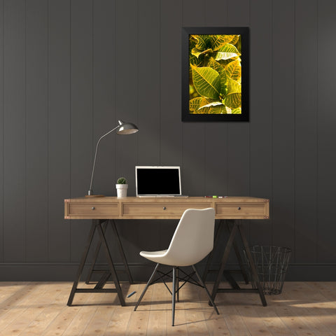 Green Leaves II Black Modern Wood Framed Art Print by Millet, Karyn