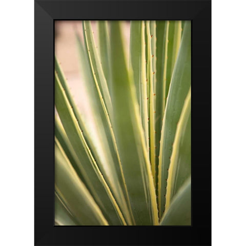 Succulent Garden I Black Modern Wood Framed Art Print by Millet, Karyn