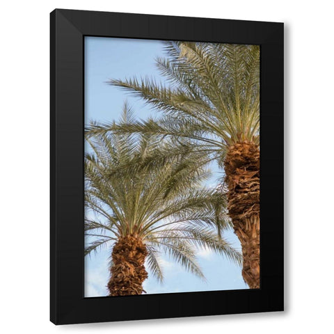 Below the Palms III Black Modern Wood Framed Art Print with Double Matting by Millet, Karyn