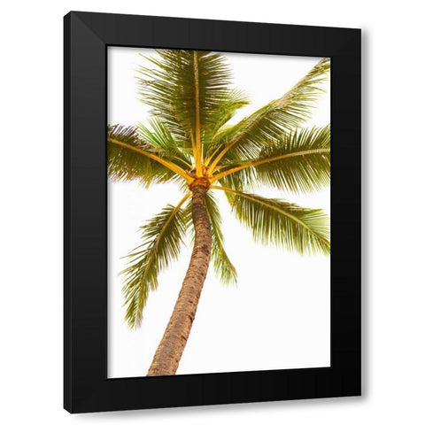 Below the Palms V Black Modern Wood Framed Art Print with Double Matting by Millet, Karyn