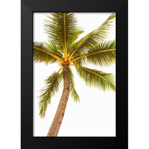 Below the Palms V Black Modern Wood Framed Art Print by Millet, Karyn