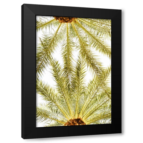 Below the Palms VI Black Modern Wood Framed Art Print with Double Matting by Millet, Karyn