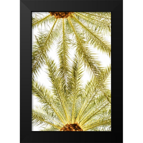 Below the Palms VI Black Modern Wood Framed Art Print by Millet, Karyn