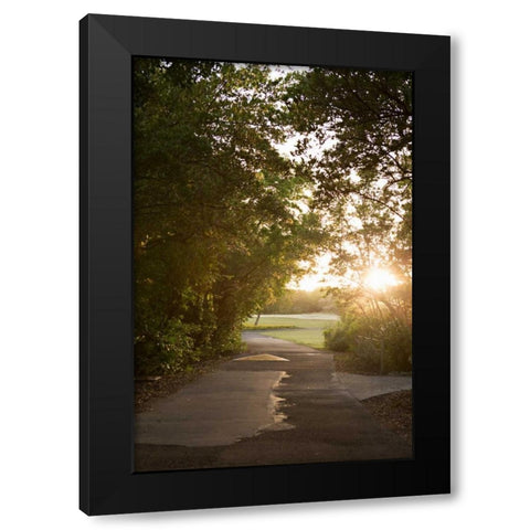 Island Stroll Black Modern Wood Framed Art Print by Millet, Karyn
