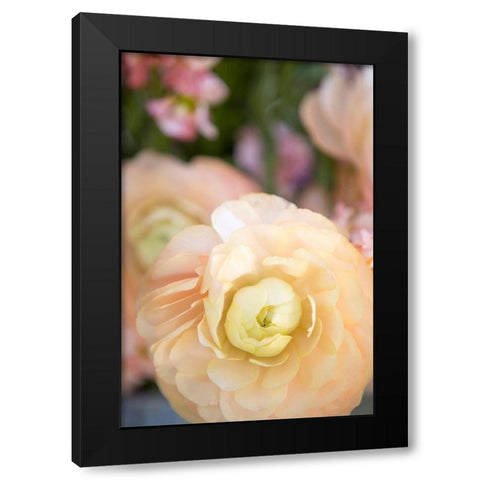 Pastel Peach Floral Black Modern Wood Framed Art Print with Double Matting by Millet, Karyn