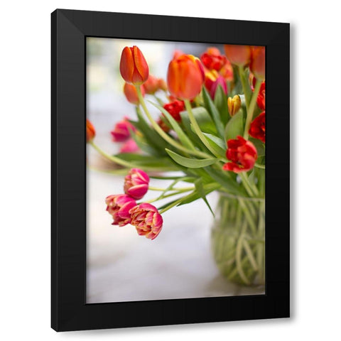 Blooming Tulips Black Modern Wood Framed Art Print by Millet, Karyn