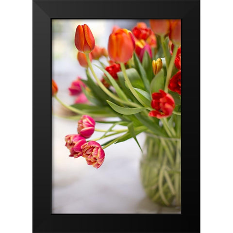 Blooming Tulips Black Modern Wood Framed Art Print by Millet, Karyn