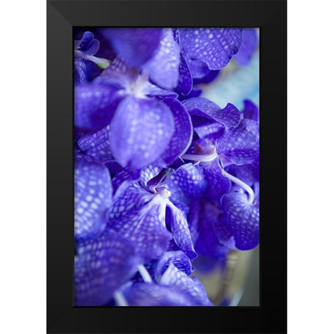 Vibrant Perwinkle Floral II Black Modern Wood Framed Art Print by Millet, Karyn