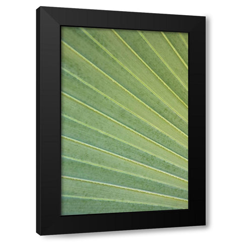 Tropical Leaf Close-Up I Black Modern Wood Framed Art Print with Double Matting by Millet, Karyn