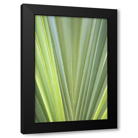 Tropical Leaf Close-Up II Black Modern Wood Framed Art Print by Millet, Karyn