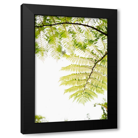 Sunlit Tropical Silhouette I Black Modern Wood Framed Art Print with Double Matting by Millet, Karyn