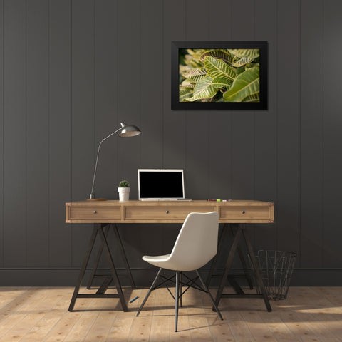 Leaf Scribble Black Modern Wood Framed Art Print by Millet, Karyn