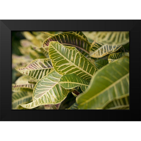 Leaf Scribble Black Modern Wood Framed Art Print by Millet, Karyn