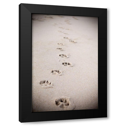 Paw Prints In Sand Black Modern Wood Framed Art Print by Millet, Karyn