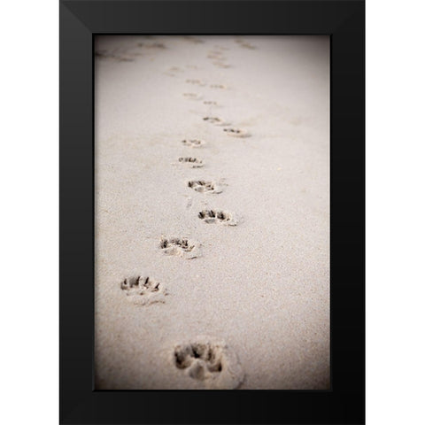 Paw Prints In Sand Black Modern Wood Framed Art Print by Millet, Karyn