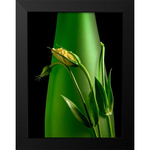 Soul Mates I Black Modern Wood Framed Art Print by McNemar, C. Thomas