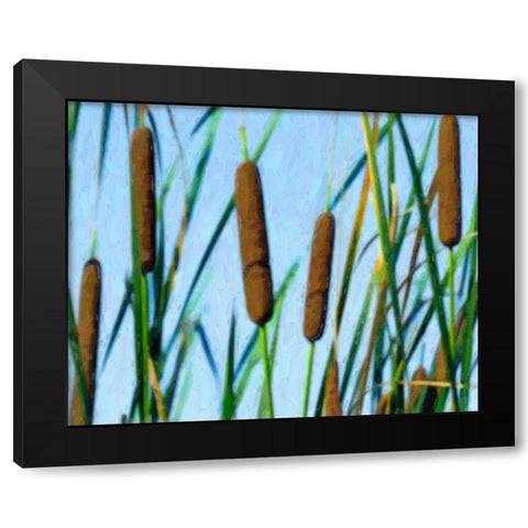 Cattailes Black Modern Wood Framed Art Print by McNemar, C. Thomas