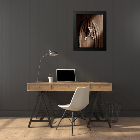 Spurs Black Modern Wood Framed Art Print by McNemar, C. Thomas