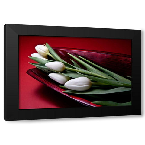 Tulips II Black Modern Wood Framed Art Print with Double Matting by McNemar, C. Thomas