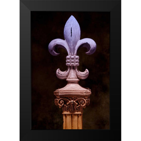 Fleur de Lis II Black Modern Wood Framed Art Print by McNemar, C. Thomas